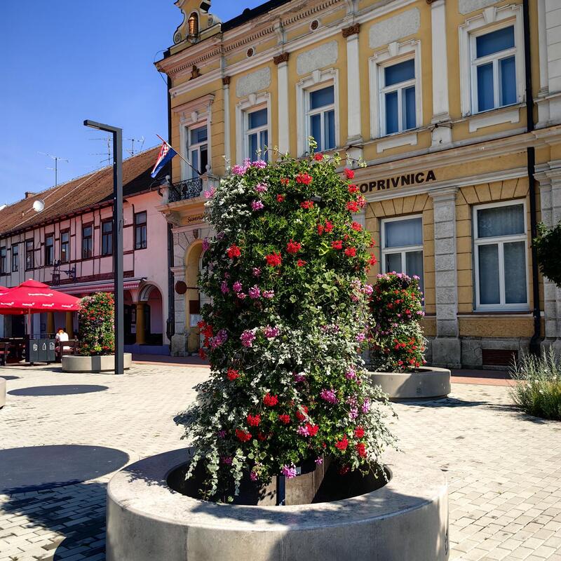 Cvjetirka stupovi / Cvjetni toranj visina 2,2 m u centru Grada Koprivnice. Kombinacija pelargonija, silvera i tamjanike tornju daju volumen kroz cijelu sezonu.