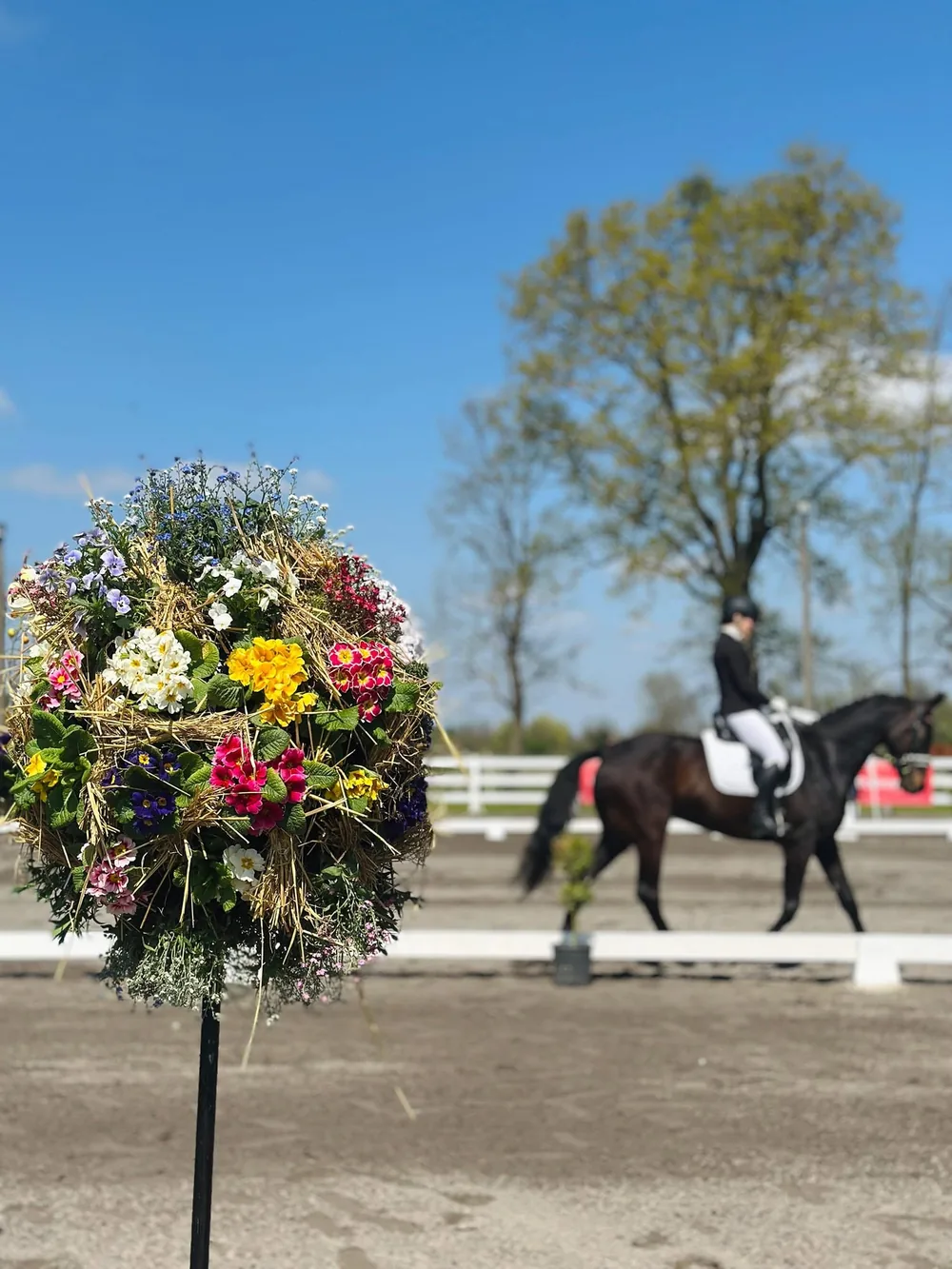 Cvjetirka kugla na ulazu u dresurni teren na Ergeli Galop